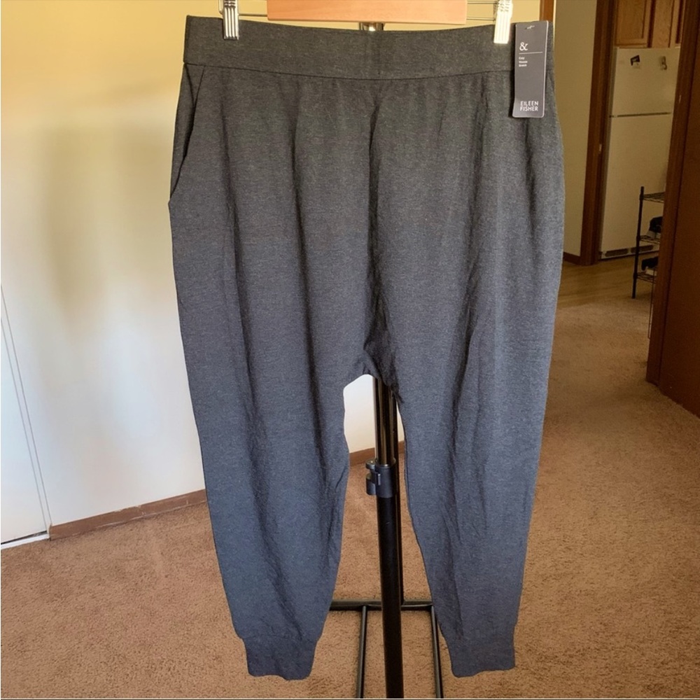 Eileen Fisher Slouchy Ankle Pant Charcoal Gray NWT Medium M